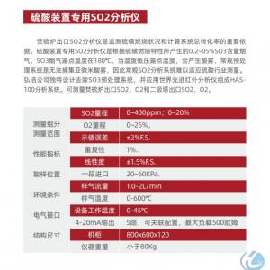 硫酸装置专用SO2分析仪